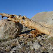 SouthernSierra 453 : SouthernSierra